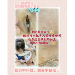 蘆洲做臉推薦 麗京美學專業臉部保養 清粉刺保養首選美容店